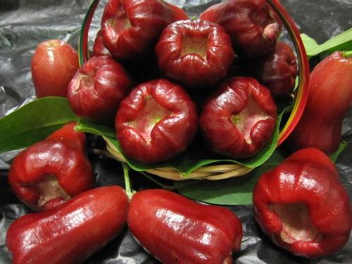 莲雾吃瓜视频在哪里看,揭秘热门视频平台