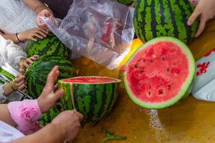 花店最新吃瓜视频播放,揭秘幕后花絮与热门话题