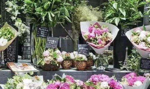 花店最新吃瓜视频播放,揭秘幕后花絮与热门话题