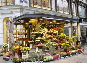 唐山花店吃瓜群众事件视频,吃瓜群众视角下的现场直击