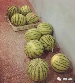 诱惑一波吃瓜群众视频,揭秘网络热点背后的真相