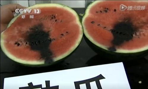 天津吃瓜视频在哪看,揭秘热门平台与观看方法