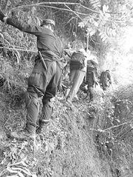 山崩地裂吃瓜群众视频在线观看,吃瓜群众现场直击！