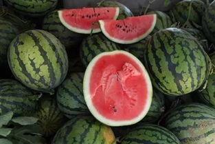 吃瓜一块钱视频在线观看,在线观看背后的故事