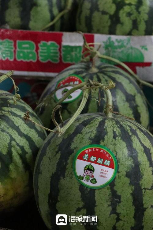 吃瓜一块钱视频在线观看,在线观看背后的故事