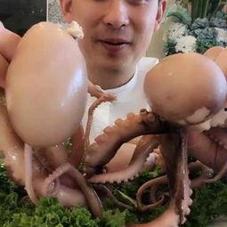 吃内脏视频瓜,视频瓜中的健康与争议